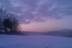 IMAG0098
