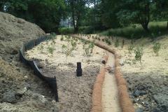 wetland-restoration-thumbnail