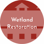 greeley_wet_restoration_head