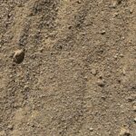 Screened Sand Screened Sand